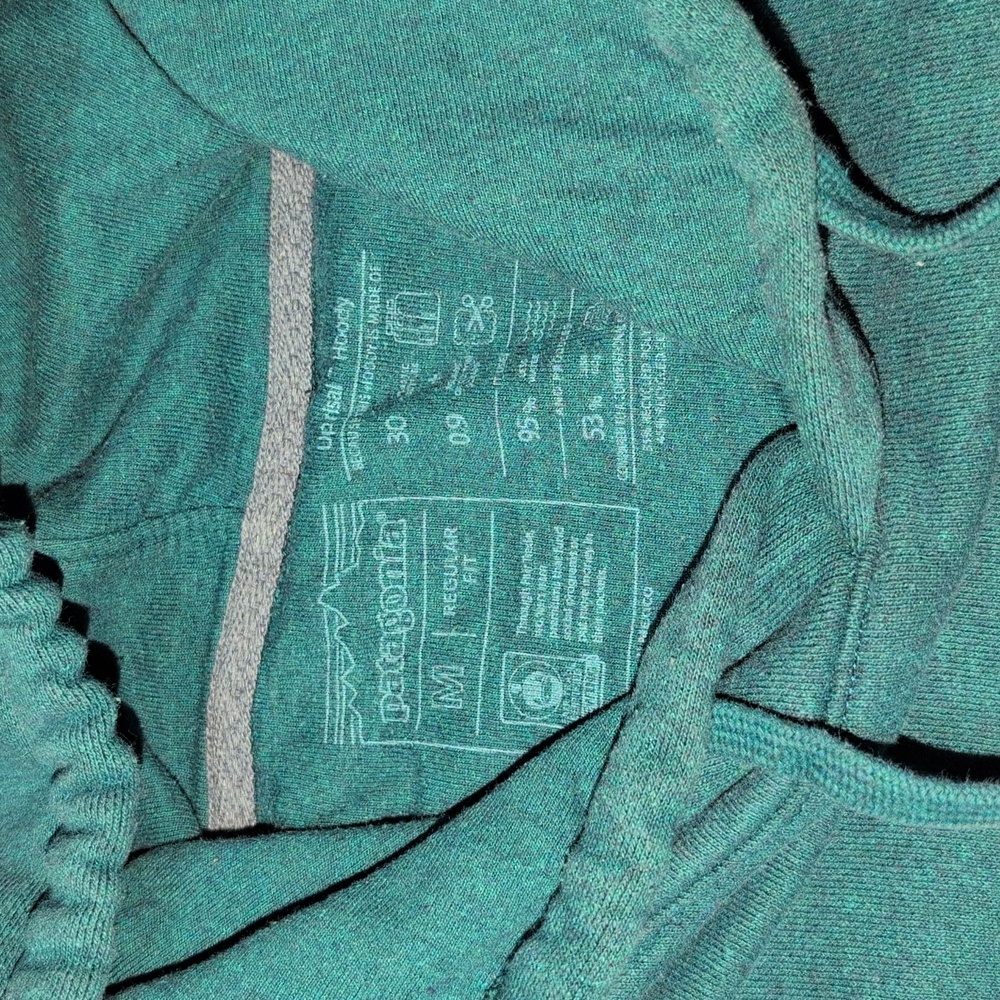 Patagonia Men's Borealis Green Hoodie - Picture 4 of 9